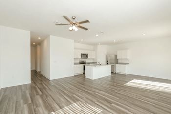 Ceiling fan